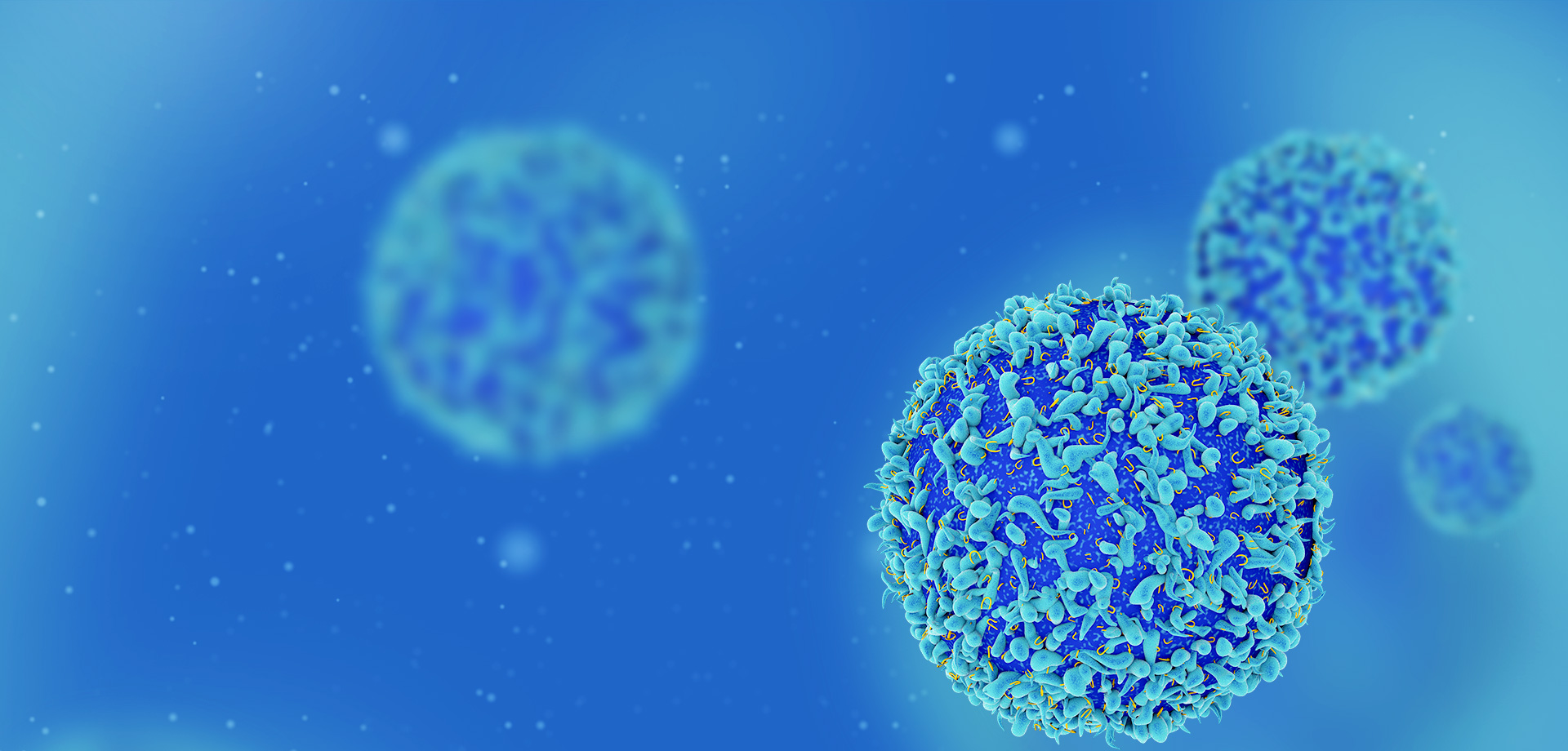 成為全球細(xì)胞免疫治療領(lǐng)域的領(lǐng)導(dǎo)者之一。